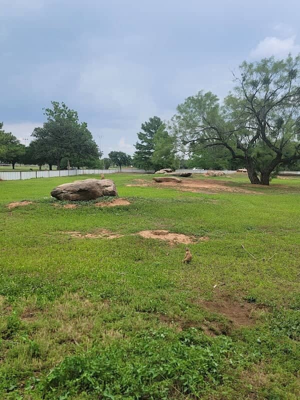Kiwanis Park - Image 2