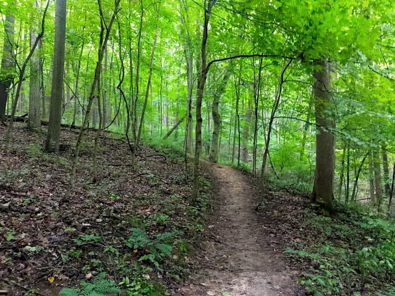 Boch Hollow State Nature Preserve, West Trailhead - Image 1