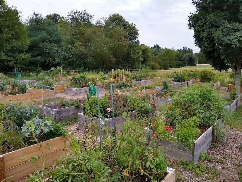 Franklin Community Gardens - Image 1