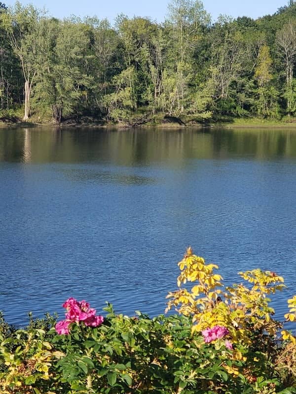 Androscoggin Riverside Trail Trailhead - Image 1