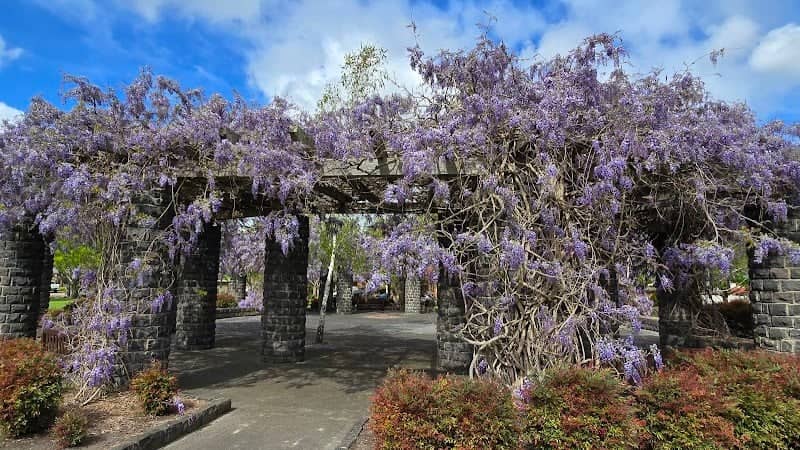 Berwick Springs Park - Image 1
