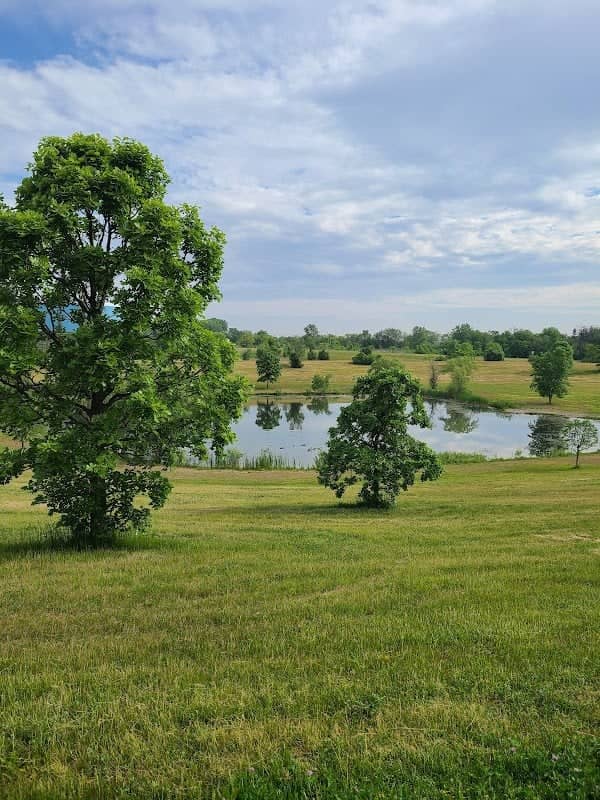 St. Peter's Park - Image 1