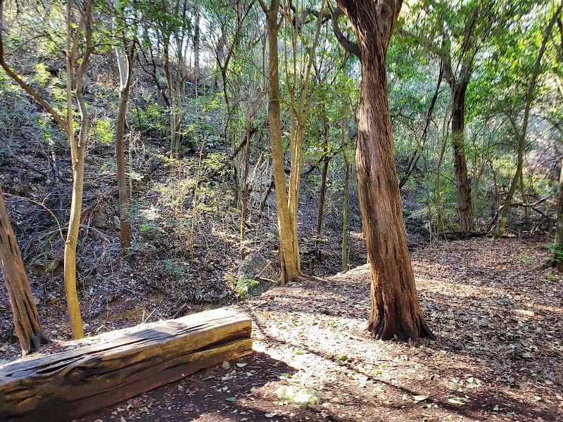 Fireman's Park - Image 1