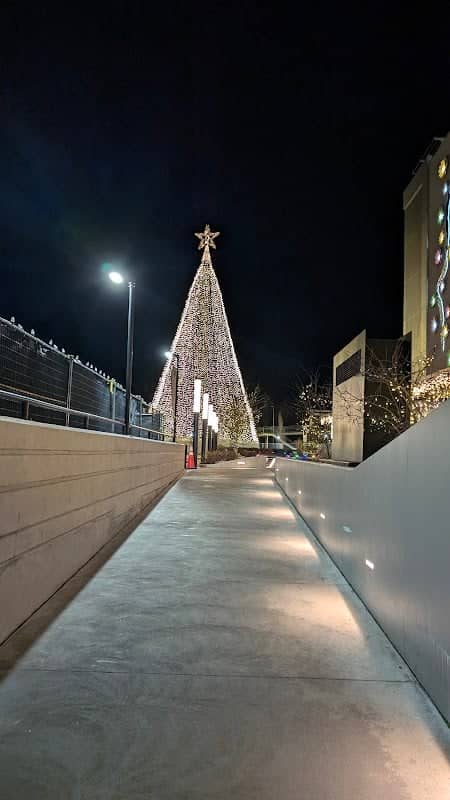 Tree of Hope Light Installation - Image 1