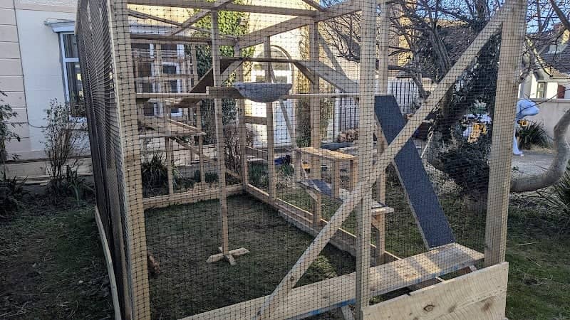 The Catio and the Blue Dog - Image 1