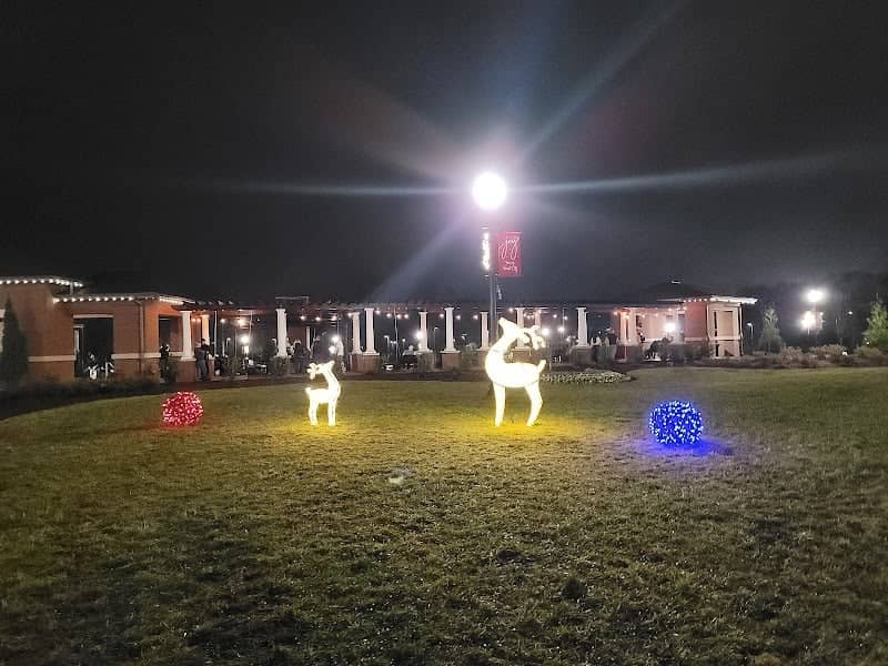 Forest City Christmas Lights - Image 2