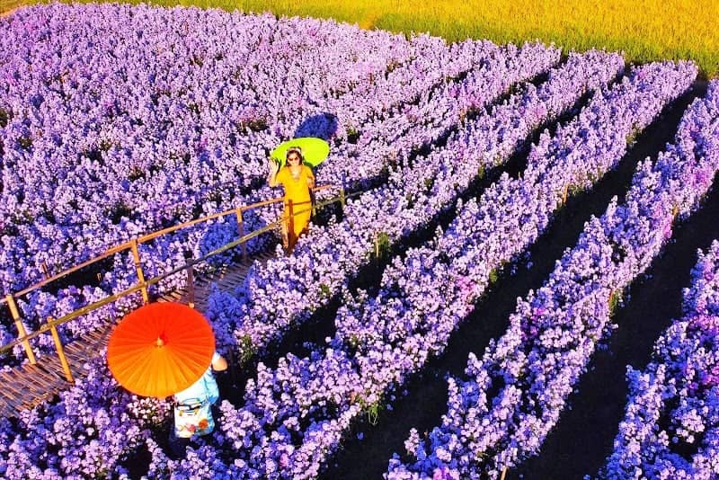 สวนลุงรันดร์ ฮิมโต้ง - Image 1