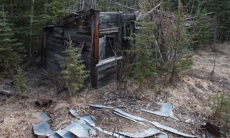 Old homestead - Image 1