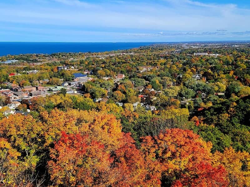 Beamer Memorial Conservation Area - Image 3