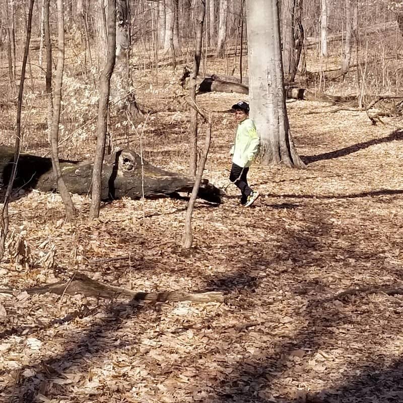 Rawson Park - Image 3
