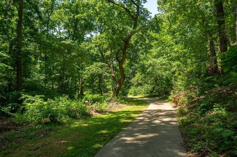 Branchwood Nature Trail - Image 1