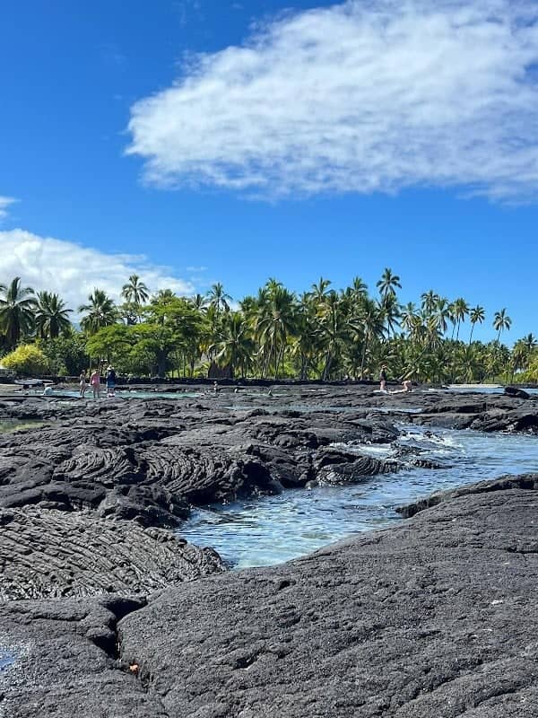 Honaunau Bay - Image 3