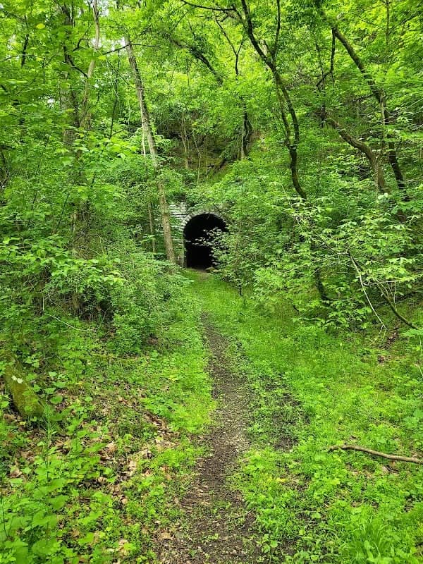 North Bend Rail Trail Tunnel #8 Cunningham's - Image 2