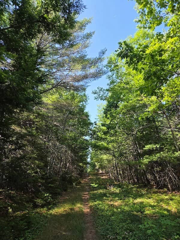Walden-Parke Preserve - Image 1