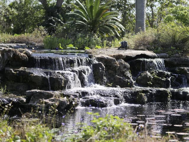Naples Botanical Garden Waterfall - Image 1