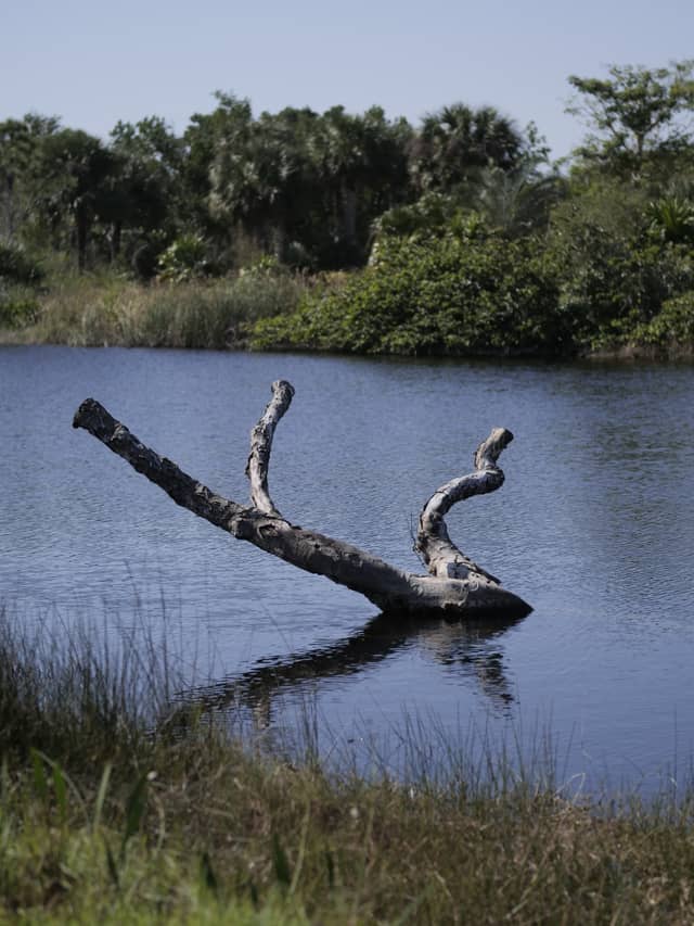 Naples Botanical Garden - Image 1