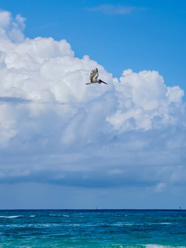 Puerto Villamil Beach - Image 1