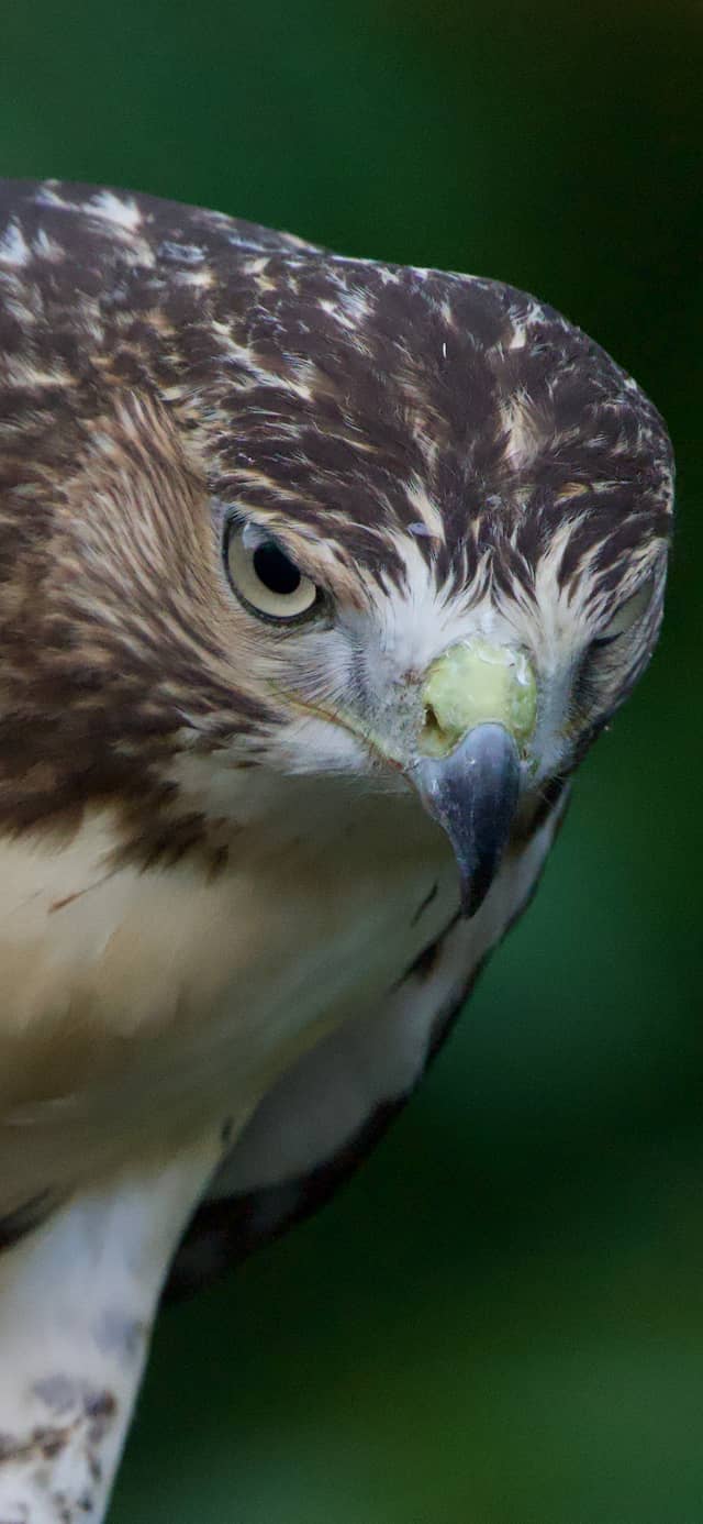 Irondequoit Bay Wildlife Area - Image 1