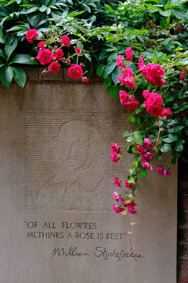 International Rose Test Garden - Image 4