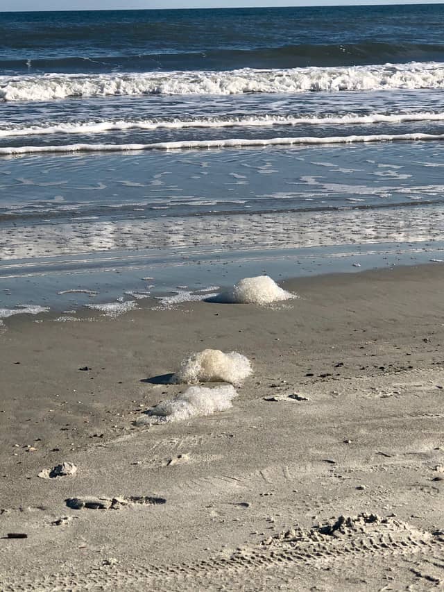 Sea Pines Beach - Image 1