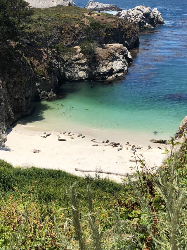 China Cove, Point Lobos - Image 1
