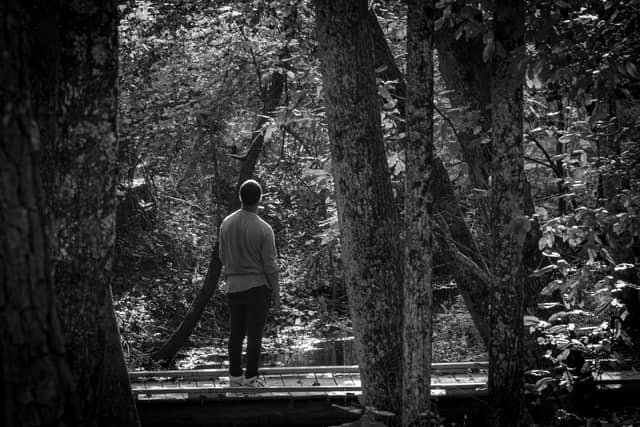 Sesquicentennial State Park Trails - Image 1