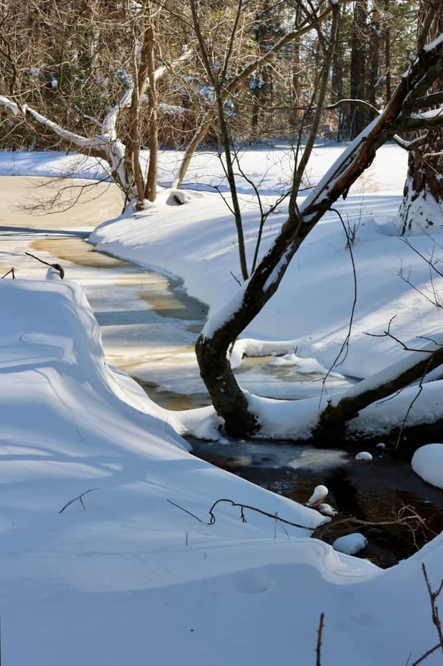 Dudley Woodland Creek - Image 1