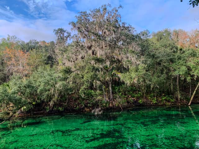 Blue Spring State Park - Image 1
