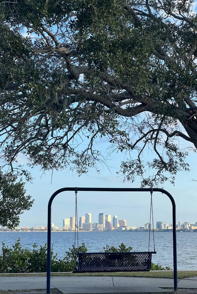 Tampa Skyline Overlook at Interbay - Image 1