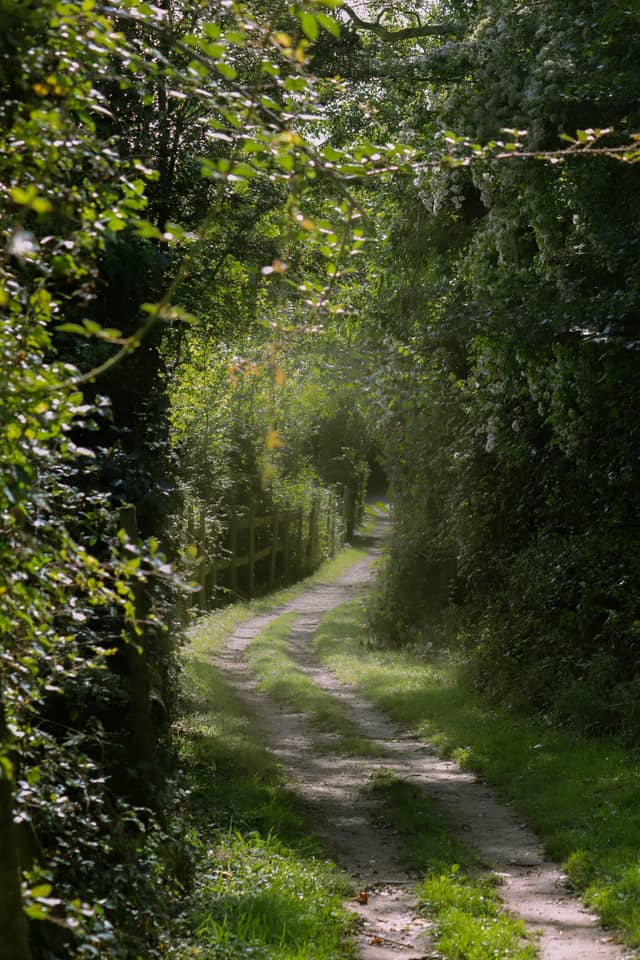 Parkgate Woodland Lane - Image 1