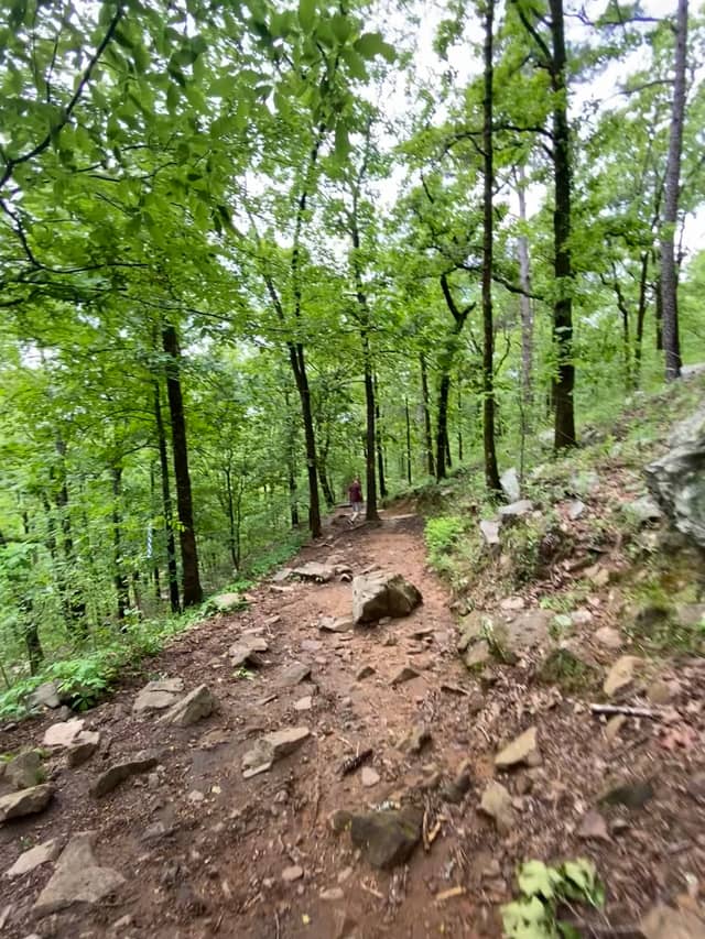 Pinnacle Mountain Summit Trail - Image 2