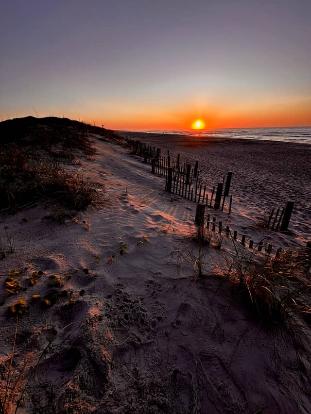 North Topsail Beach Sand Fences - Image 1