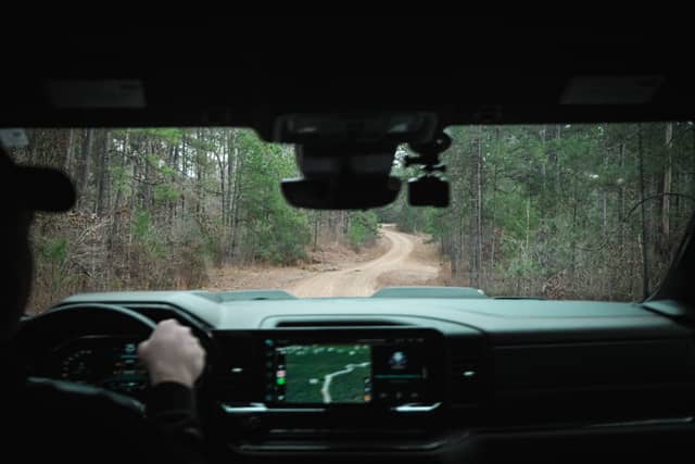 Mount Pleasant Road Forest Trail - Image 1