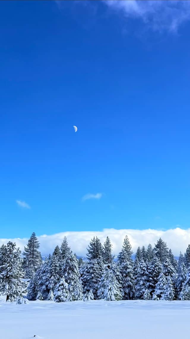 Truckee Winter Meadow - Image 1