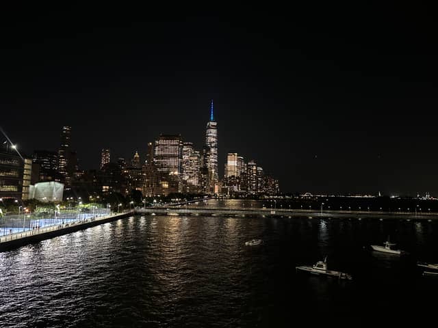 Lower Manhattan Skyline from Hudson River Park - Image 1