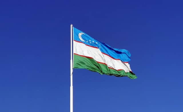 Uzbekistan Flag Display - Image 1