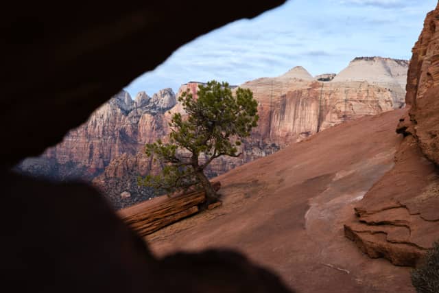 Watchman Trail Overlook - Image 1