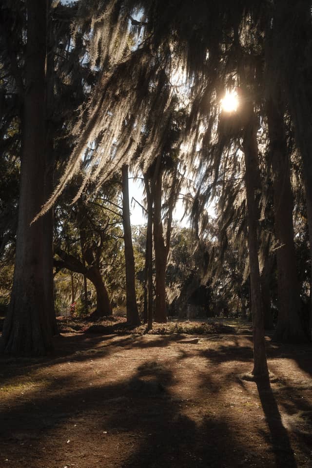 Kraft Azalea Garden - Image 1