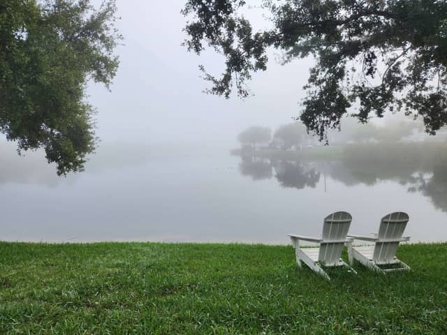 Tranquil Pond Overlook - Image 1