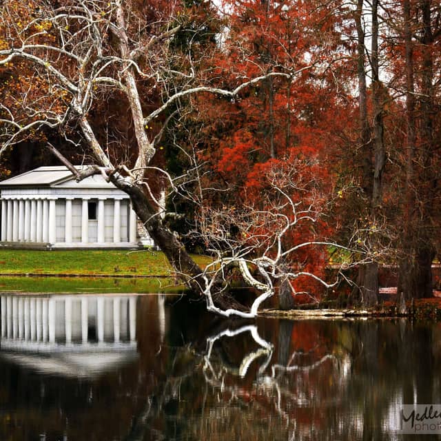 Spring Grove Cemetery and Arboretum - Image 1