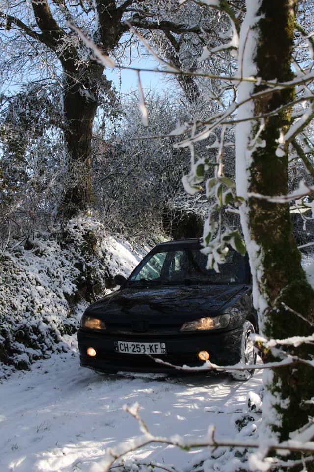 Snowy Woodland Road in Vendée - Image 1
