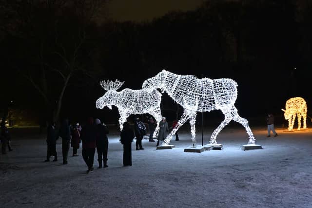Niagara Falls Winter Festival of Lights - Image 1