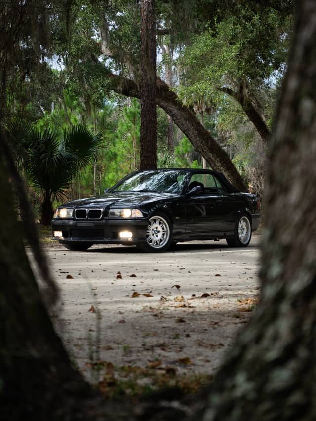 Palm Coast Wooded Trail - Image 1