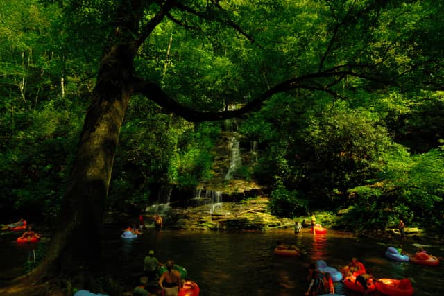 Tom Branch Falls - Image 1