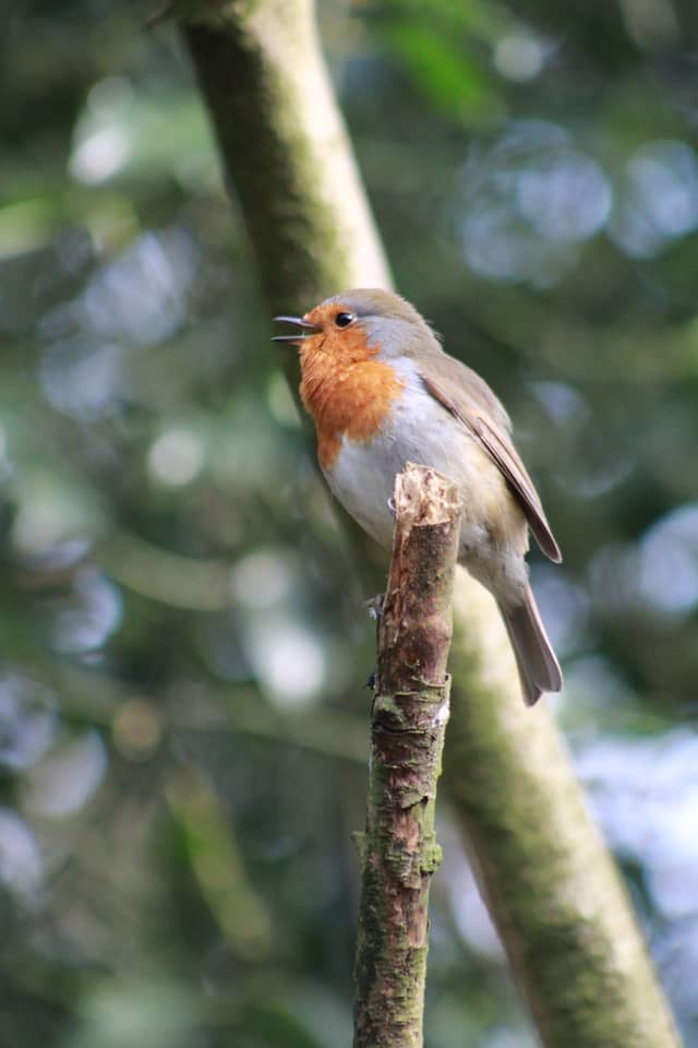 Northycote Farm and Country Park - Image 1