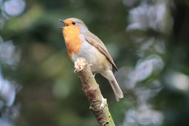 Northycote Farm and Country Park - Image 1