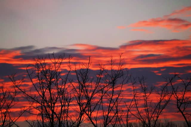 Rural Sunset Silhouette - Image 1