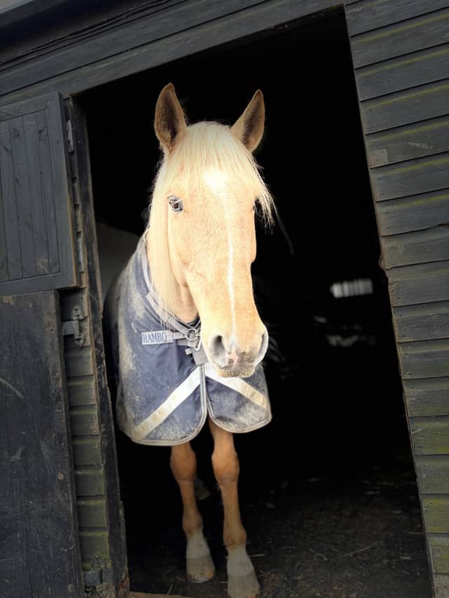 Brixworth Countryside Stables - Image 1