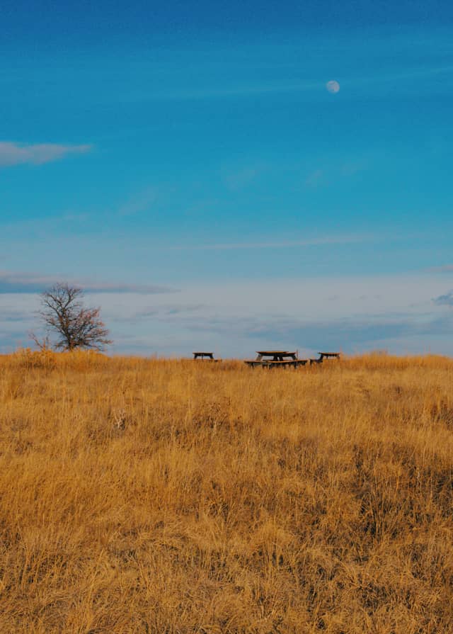Rocky Mountain Arsenal National Wildlife Refuge - Image 1