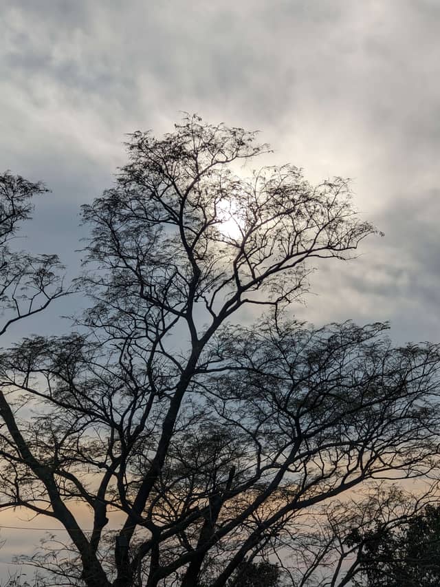Kangra Valley Sunset Overlook - Image 1